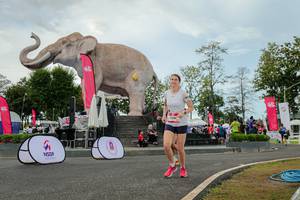 BIB: 
                            <button type="button" onclick="openModal(26528825)" class="btn btn-primary btn-sm float-right btn-popup" data-toggle="modal" data-target=".modal-high-quality">
                        <i class="fas fa-shopping-cart"></i> Add to Cart
                    </button>
                                            <button type="button" onclick="isThisMe(26528825, true)" class="btn btn-success btn-sm float-right btn-popup btn-isme hidden" data-toggle="tooltip" data-placement="bottom" title="นี่คือรูปของคุณใช่ไหม คลิกที่นี่เพื่อเอาเข้าอัลบั้ม">
                        <i class="fas fa-plus"></i> Add to album
                    </button>
                    <button type="button" onclick="isThisMe(26528825, false)" class="btn btn-warning btn-sm float-right btn-popup btn-isnotme hidden">
                        <i class="fas fa-ban"></i> Remove from album
                    </button>